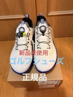2026年最新】ecco biom c4 boaの人気アイテム - メルカリ