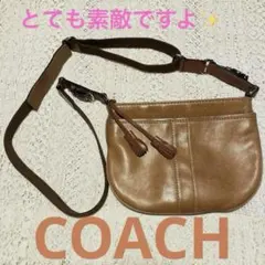 COACH スエード ハンドバッグ ライトグリーン ① - メルカリ