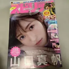 スピリッツ 49号 山口真帆 表紙