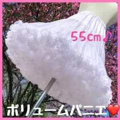 Item thumbnail for item 5e662476-9ce1-4d27-8e4b-cb61ba437568