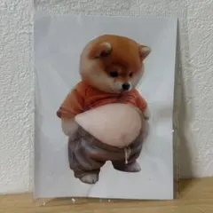 A*o様 3Dシール 柴犬 お腹ぷにぷにステッカー シール