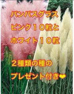 まどれーぬ様 リクエスト 2点 まとめ商品