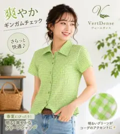 VertDense ギンガムチェック 半袖シャツ グリーン Mのサムネイル