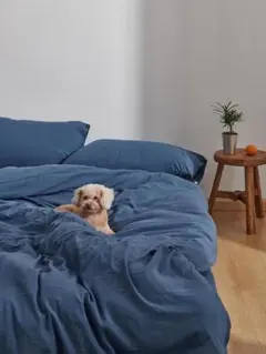 Item thumbnail for item b917e23e-801a-4c07-a741-c7447e98525d