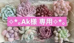 Ak様 リクエスト 2点 まとめ商品