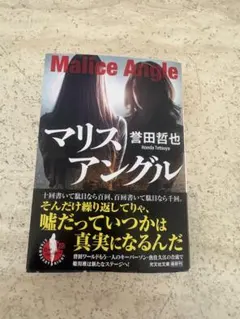 マリスアングル