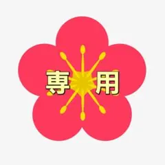 【Himari 様専用】リカちゃんお着替え着物