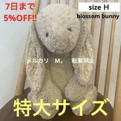 jellycat Bashful Forest Bunny 廃盤 レア - メルカリ