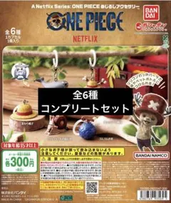 ワンピース めじるしアクセサリー 全6種コンプリートセット