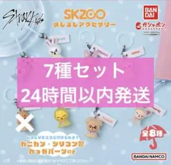 straykids SKZOO めじるしアクセサリー　7種セット