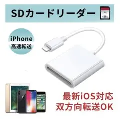 SDカードリーダー iPhone用