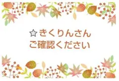 ⭐️きくりんさん専用です