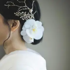 胡蝶蘭と枝の髪飾り
