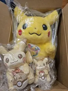 おかえり！ピカチュウ1/1 ピカピカ！ピカチュウ 3点セット