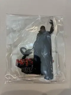 ヒーマン マスターズ・オブ・ユニバース スケルター アクスタ アクリル 
