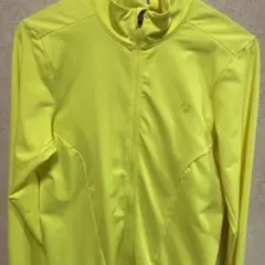 Item thumbnail for item 008bb529-cdbe-4287-9ce9-33b2c9ed5f9c