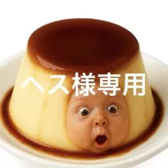 ヘス様 リクエスト 2点 まとめ商品