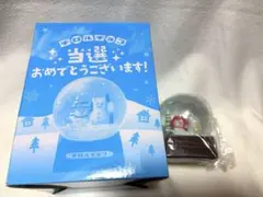 オードリーオールナイトニッポンin東京ドーム スノードーム - メルカリ