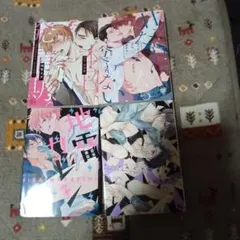 ボーイズラブ BL漫画 まとめ売り 4冊