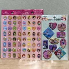 【匿名配送】ディズニープリンセス ウォーターシール ストーンシール