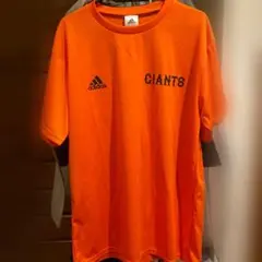 Item thumbnail for item e2cd78fb-f588-461f-964b-c55046c490ad