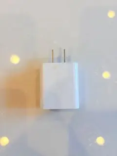 USB電源アダプター 2ポート YZDZ18-LD-01z