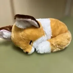 2025年最新】ちょコンとキツネ ウルトラbigの人気アイテム - メルカリ