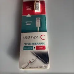 Lightning to USB-C 変換アダプター