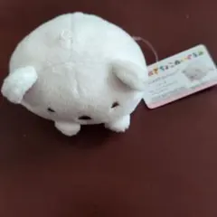 すみっコぐらし ぬいぐるみ ホワイト