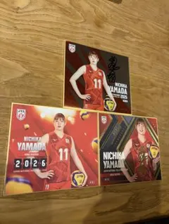 柳田将洋選手 ミニ色紙 直筆サイン入り 龍神NIPPON - メルカリ