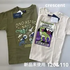 crescent 恐竜デザインTシャツ2枚セット　110&120