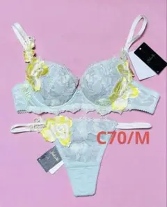 2025年最新】サルート c70の人気アイテム - メルカリ