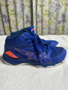 アシックスバッシュ