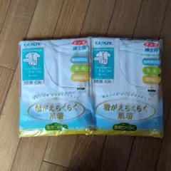 GUNZE ワンタッチ半袖シャツ Lサイズ 2枚セット