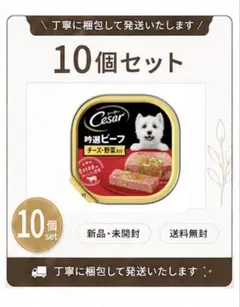2026年最新】シーザー ビーフの人気アイテム - メルカリ