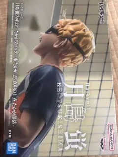 ハイキュー!! 月島蛍 フィギュア たかがブロック