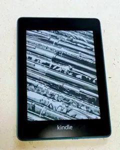 kindle ペーパーホワイト 10世代 防水 WiFi 広告 8G＋専用カバー