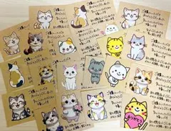 サンキューカード手書き猫色々セット