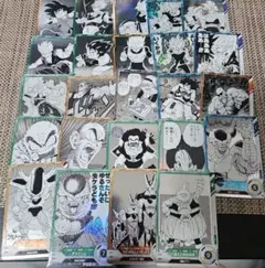 ダイバーズアドバンスパック N・Rコンプ 24枚セット