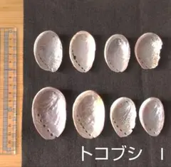 Item thumbnail for item 7156441b-0d96-4d35-9821-d9a2f98263b6