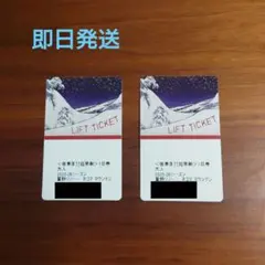ネコママウンテン リフト券 １日券 2枚 星野リゾート 引換券 ネコマ 星野リゾート ネコママウンテン アルツ磐梯スキー場 猫魔スキー場 IC