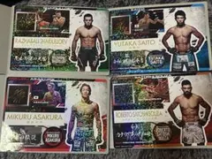 RIZIN ジャンボシールダス