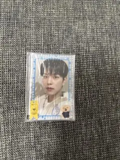 stray kids スキズ スンミン フォトカードスリーブセット