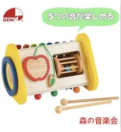 エドインター　森の音楽会　3面版木　知育玩具鉄琴付き　ベビー　おもちゃのサムネイル