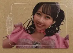 FRUITSZIPPER 松本かれん　クリアトレカ