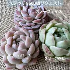 ステッチ8660（プロフィール必読）様 リクエスト 4点 まとめ商品