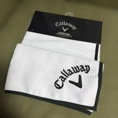 Item thumbnail for item 755c7605-1fcc-4f20-94ab-d89b756249cb