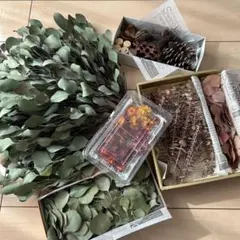 No.113 ユーカリ&木の実　花材セット　ポポラス　銀世界　貝細工　ドライ