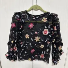 ZARA BASIC 花柄刺繍 シースルー 長袖トップスのサムネイル