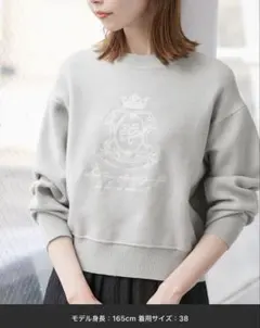 ロペピクニック スウェットライク刺繍ニットプルオーバー